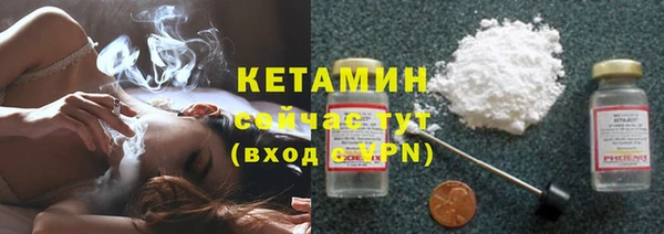 индика Белокуриха