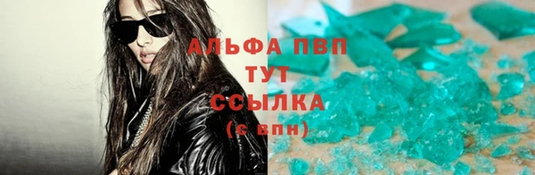 индика Белокуриха