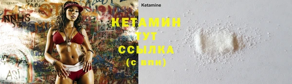 индика Белокуриха