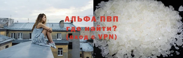 индика Белокуриха