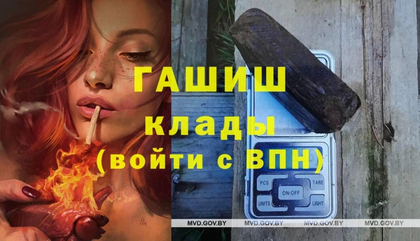 индика Белокуриха