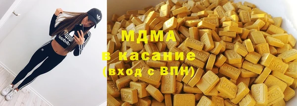 индика Белокуриха